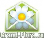 Логотип компании Доставка цветов Гранд Флора (ф-л г.Мензелинск)